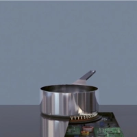 Варочная панель Electrolux IPE8492KF