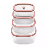 Набор вакуумных контейнеров STATUS Fresko set 4 salmon