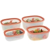 Набор вакуумных контейнеров STATUS Fresko set 4 salmon