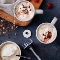 Погружной Блендер BAMIX Cordless PRO Красный