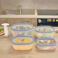 Набор вакуумных контейнеров STATUS Fresko set 5 lilac