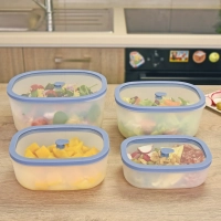 Набор вакуумных контейнеров STATUS Fresko set 4 lilac