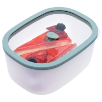 Контейнер вакуумный Status Fresko 23 mint