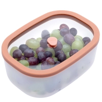 Контейнер вакуумный Status Fresko 14 salmon