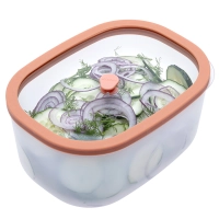 Контейнер вакуумный Status Fresko 14 salmon