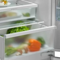 Встраиваемый холодильник Electrolux ENT6ME19S