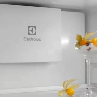 Встраиваемый холодильник Electrolux ENT6ME19S