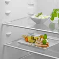 Встраиваемый холодильник Electrolux LNS5LE18S