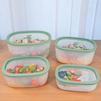 Набор вакуумных контейнеров STATUS Fresko set 4 mint