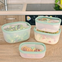 Набор вакуумных контейнеров STATUS Fresko set 4 mint