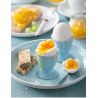 Яйцеварка Caso E 7