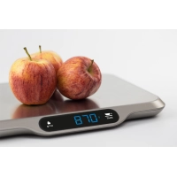 Кухонные весы Caso L 15