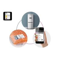 Рулоны для вакуумной упаковки Caso 25x600